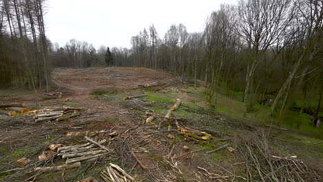 heaps of cut raw wood in forest - drone shot