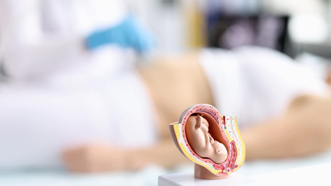 Un operatore ecografista esamina l'addome di una giovane donna incinta con una sonda ecografica ed esegue l'esame.