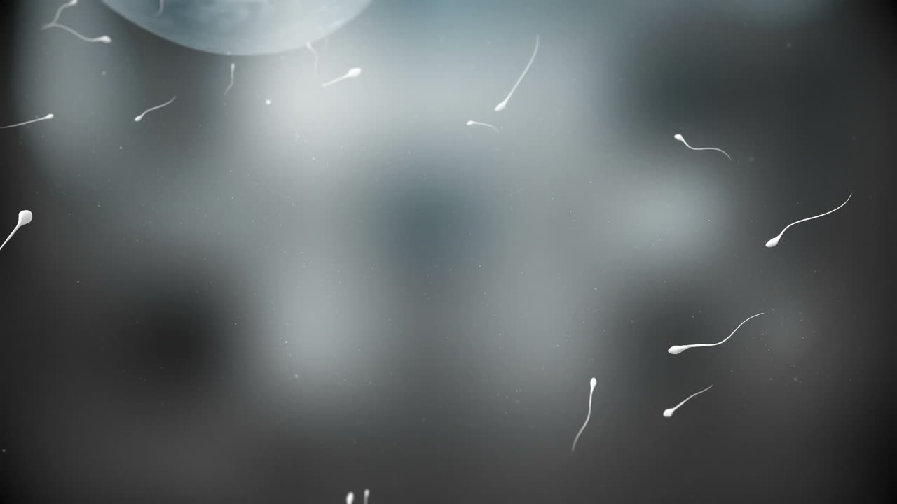 un óvulo en movimiento siendo fertilizado por espermatozoides