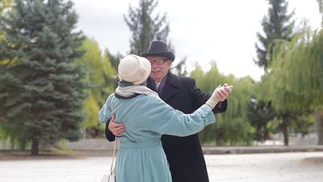 elderly couple dancing gracefully in a park
