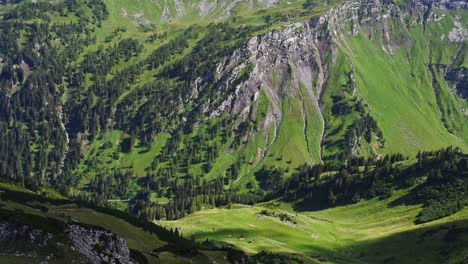 exuberante valle alpino verde que se fusiona con una escarpada montaña blanca en los alpes de austria