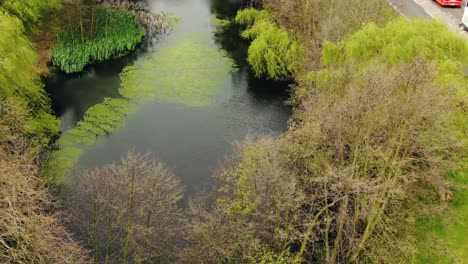 Schöne-Draufsicht-Auf-Den-Teich-In-London