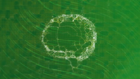animación del cerebro sobre líneas verdes en movimiento sobre fondo verde