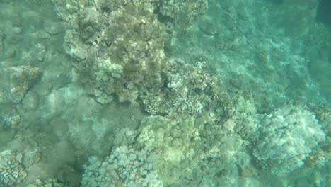 snorkeling-in-beach--relaxing-blue-waters