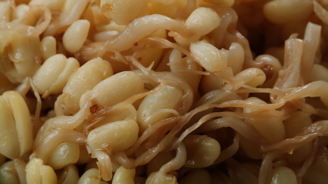 Salted soybean fermented in jar, chinese soy production, marinated food, germinated soy close up in cafe restaurant.