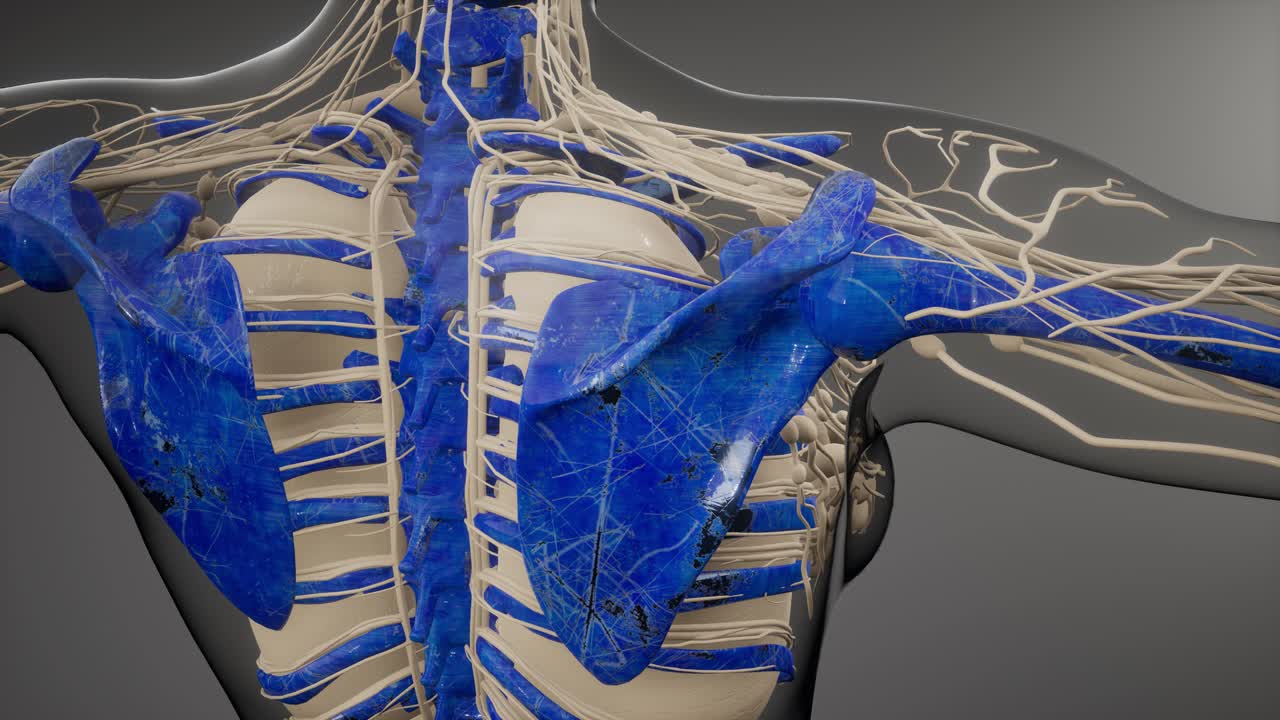 눈에 띄는  ⁇ 가 있는 투명한 인간 몸