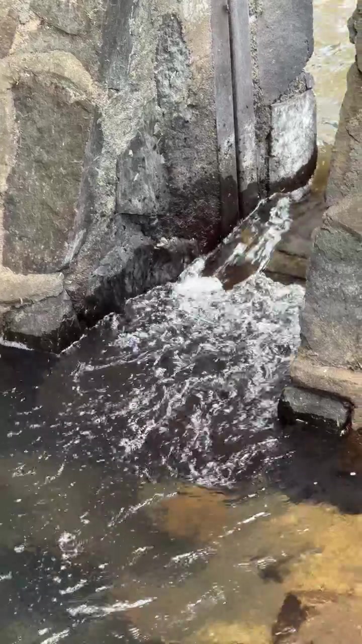 Água Correndo por um Canal de Pedra em um Cenário Natural