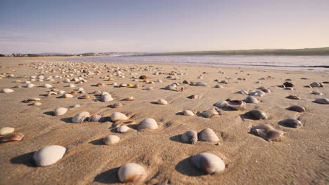 waves roll over the shells on the beach in portugal