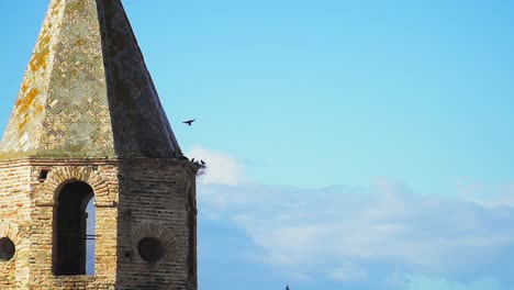 Statische-Aufnahme-Des-Kirchturms-In-Medina-Sidonia-Mit-Vögeln,-Die-Zum-Nest-Auf-Der-Spitze-Des-Glockenturms-Fliegen