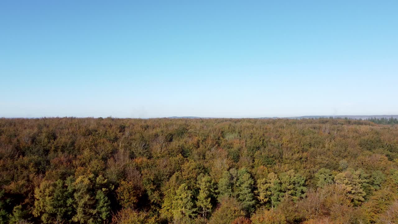  Flying over forest with autumn colours and clear blue sky