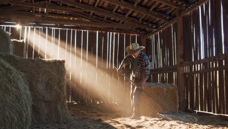 farmer raking hay in a barn