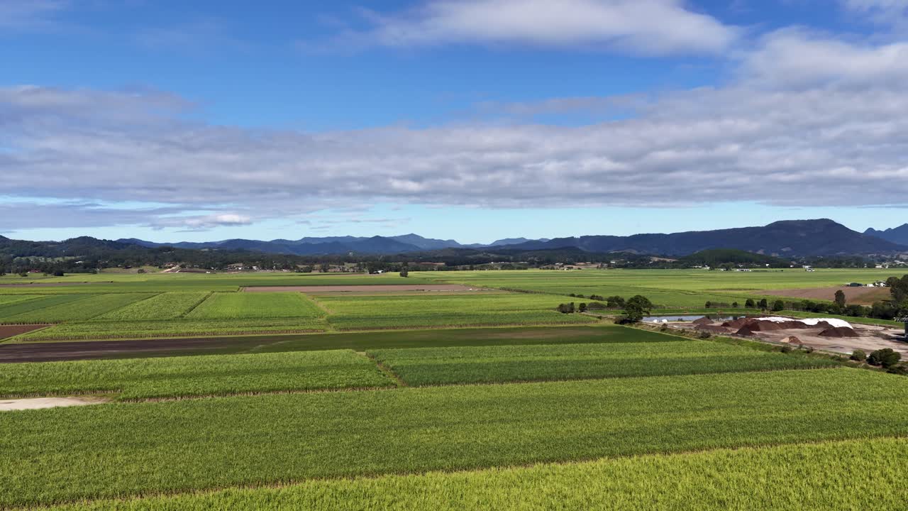 Aerial footage captures expansive green sugarcane fields under a bright blue sky in Murwillumbah, NSW, Australia