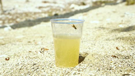 Avispa-En-Rayas-Amarillas-Negras-Atraída-Por-Jugo-Fresco-Dentro-De-Un-Vaso-De-Pie-En-Una-Playa-De-Arena-En-Un-Caluroso-Día-De-Verano