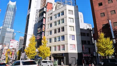 kabukicho in the shinjuku district