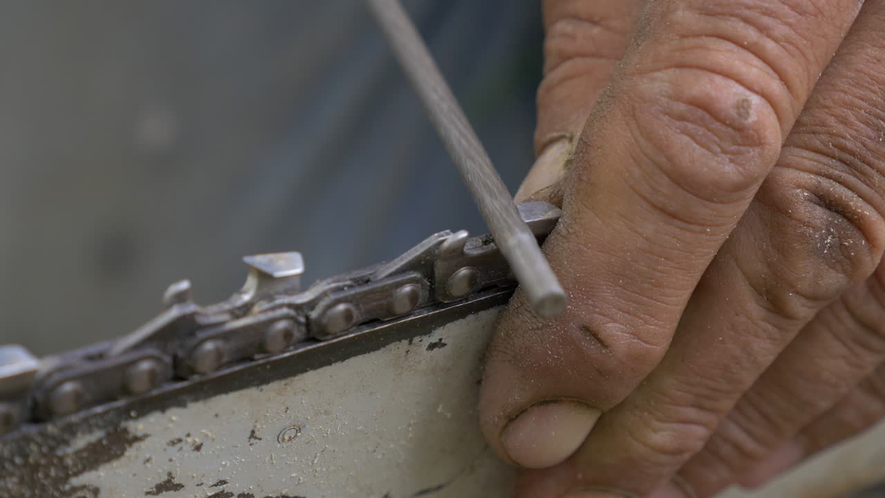 el diente de la motosierra de corte se prepara para cortar madera