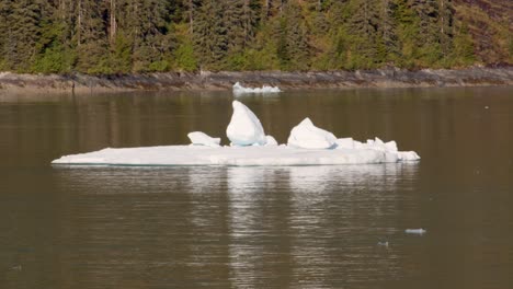 Brazo-Endicott-Endicott,-Alaska,-Iceberg-Flotando-En-El-Fiordo-Brazo-Endicott-Con-Rocas-De-Hielo