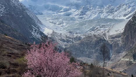 Toma-Inclinada-Hacia-Arriba-Del-Punto-De-Vista-Rakaposhi-En-Hunza-Nagar,-Pakistán