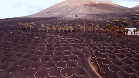 la geria is a unique wine-growing region in lanzarote, part of the canary islands, spain, known for its striking landscape shaped by volcanic activity.