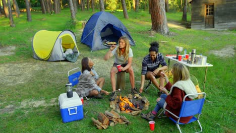 High-angle-view-of-friends-having-fun-near-bonfire-in-the-forest-4k