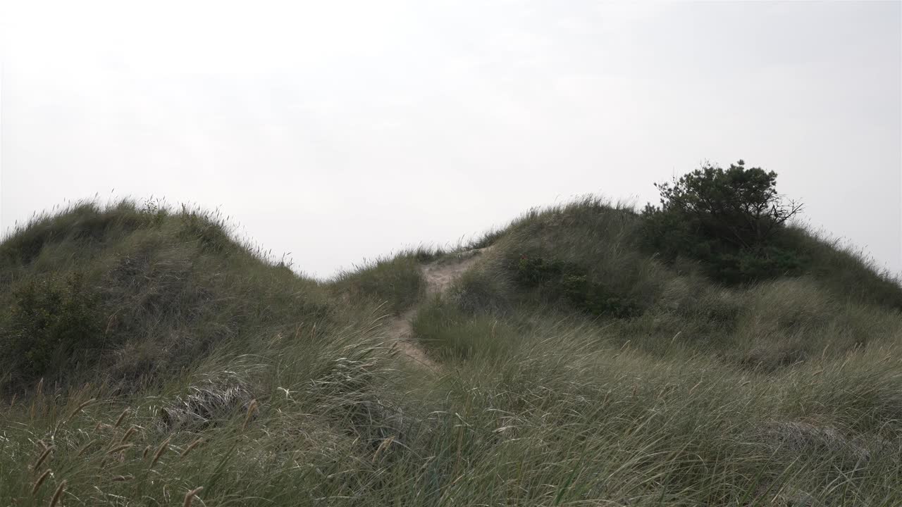 Slow-motion shot of rolling coastal dunes in Sweden, with a narrow footpath cutting through the windswept grass. The overcast sky casts a soft, diffused light over the rugged Nordic landscape.
