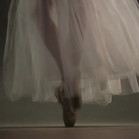 Ballerina In Ballet Studio