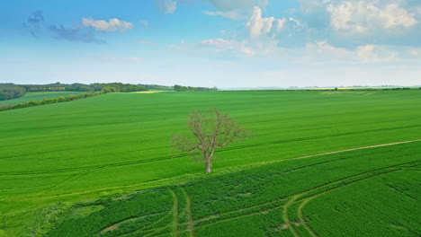 Drohnenvideo-Erfasst-Landwirtschaftliche-Sommerfelder-In-Den-Hügeln-Der-Lincolnshire-Wolds