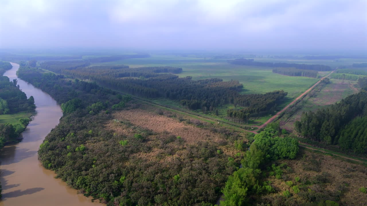 Aerial shot showcasing the contrast between wetland vegetation, forest plantations, and fields in Argentina, with a river flowing left