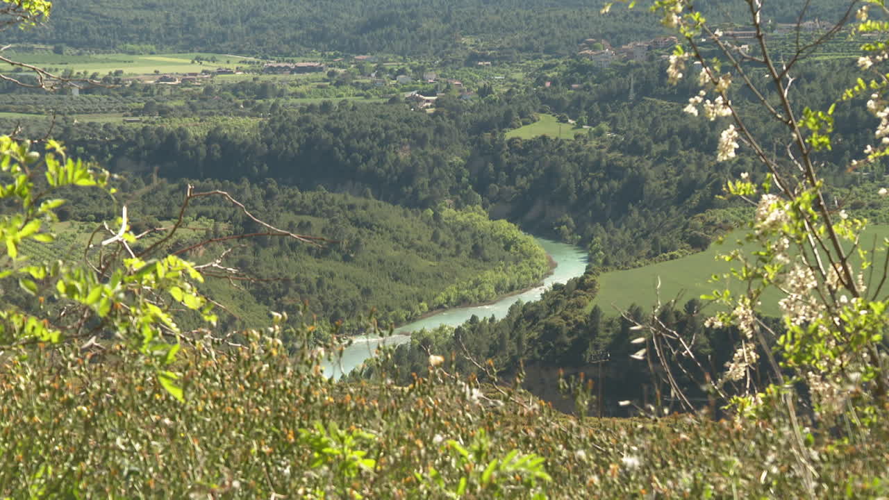 Serene River Valley Scenery