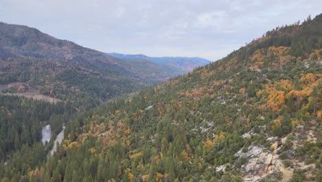 Aerial-drone-footage-flying-through-a-forested-valley-after-a-wildfire