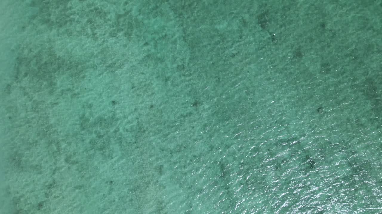 vista de arriba hacia abajo desde un dron de aguas poco profundas del océano