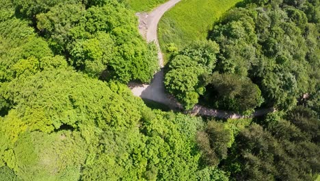 aerial view of healthy green forest on a nature reserve, rising drone shot