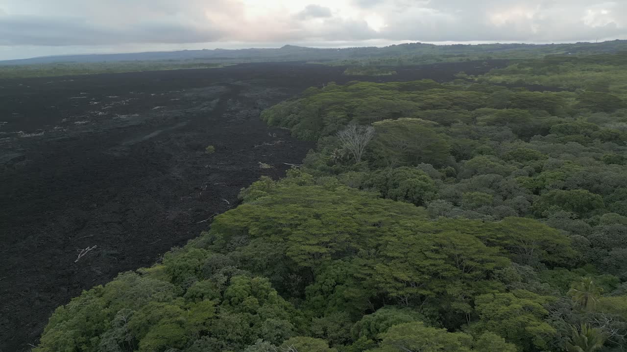 lava de ceniza negra humeante fluye a través de la exuberante selva tropical hawaiana