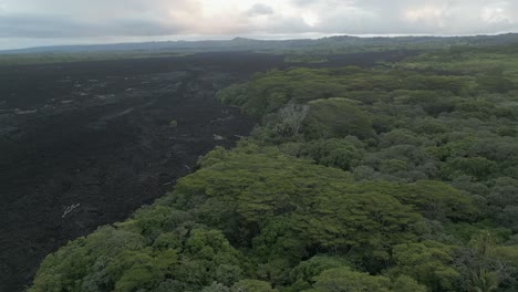 Steaming-black-ash-lava-flow-through-lush-tropical-Hawaiian-rainforest