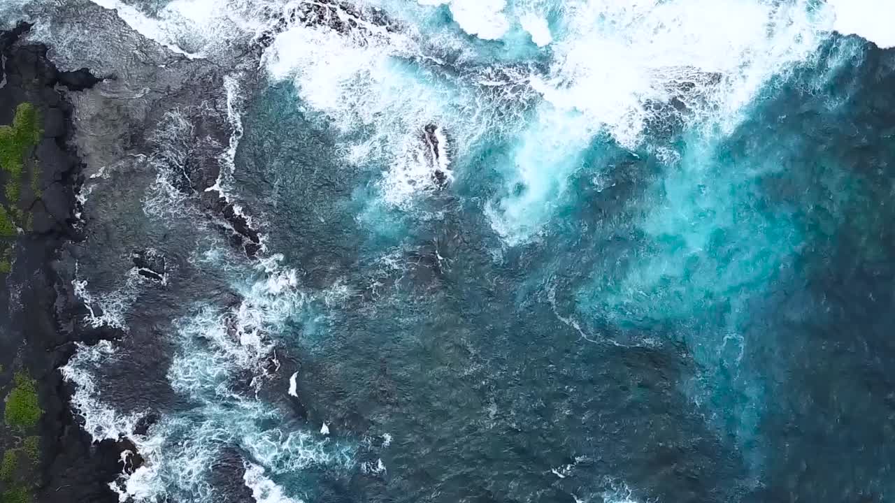 Drone aerial pan up forest beach landscape
