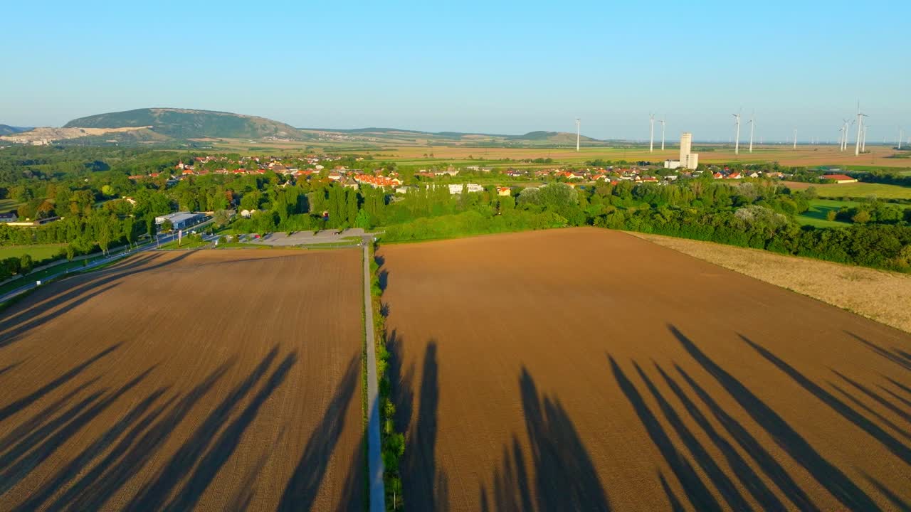 sombra de los árboles en los campos durante la puesta de sol con vistas a la granja eólica en la distancia