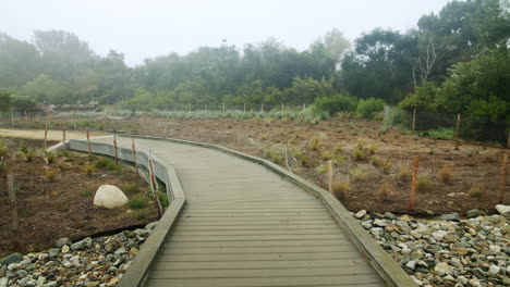 foggy boardwalk through nature