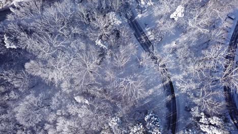 Drohnenüberführung-Von-Schneefall-Auf-Straßen-Und-Häusern-In-Raleigh,-NC