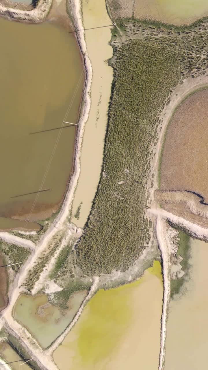 Vista aérea zenital de drone de zonas úmidas e parcelas agrícolas segmentadas na região de Sylhet Haor em Bangladesh, mostrando corpos d'água lamacentos e aterros de terra.