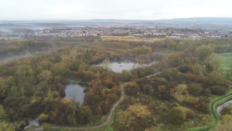 Foggy-dawn-misty-colourful-nature-reserve-autumn-woodland-landscape-aerial-orbit-wide-right