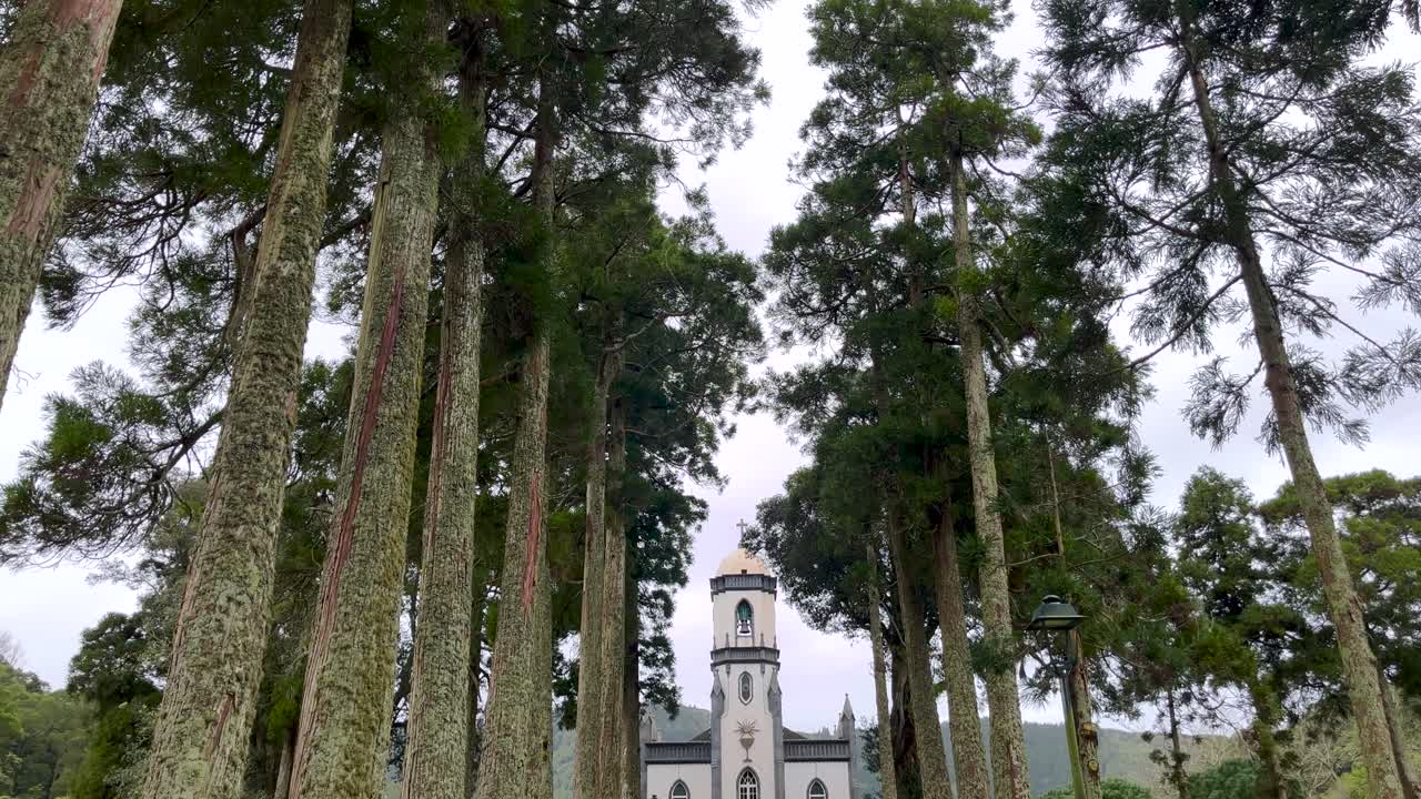 아조레스 제도 사우미구엘의 세테시티에 있는 산 니콜라우 성당으로 이어지는 나무로 둘러싸인 거리의 매혹적인 풍경.