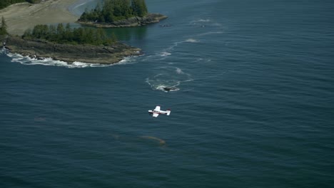 piloto volando un avión privado disfrutando de hermosos paisajes costeros, vista aire-aire