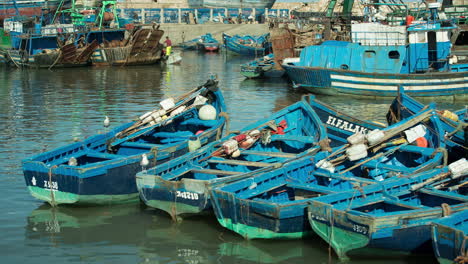 coastal town of essaouira, morocco