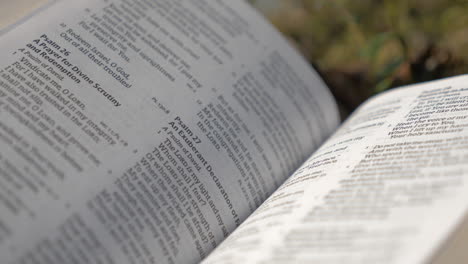 psalm 23, close up of a bible laying in the forest