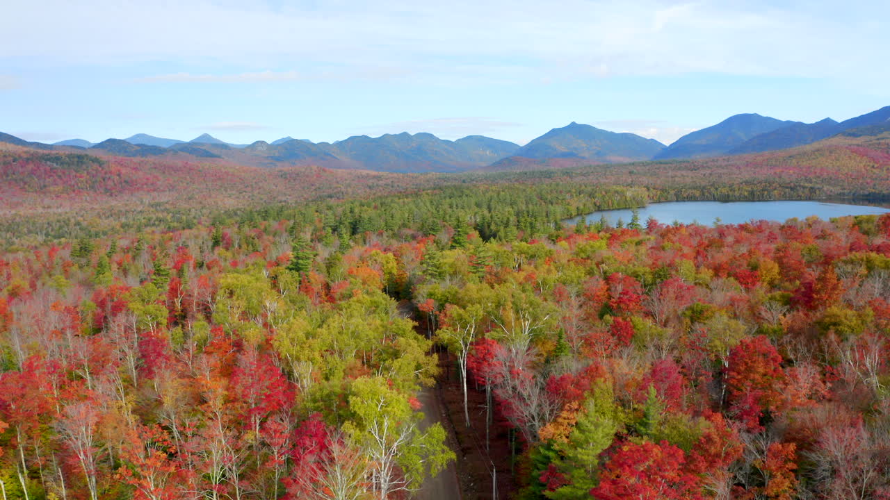 활기찬 가을 단풍, 밝은 빨간색과 노란색 잎으로 뒤덮인 계곡과 산 능선의 놀라운 공중 전망, 뉴욕 아디론댁의 드론 영상