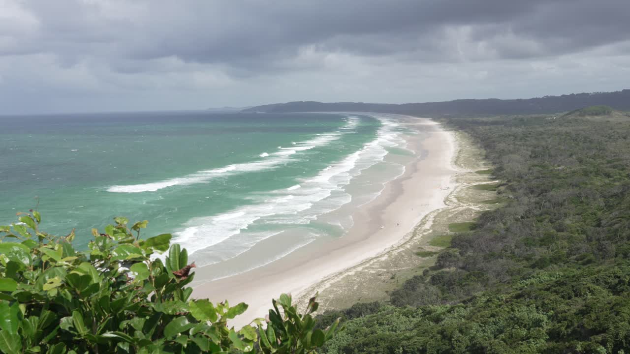 Tropical beach, sea ocean waves exotic rainforest dense canopy forest nature