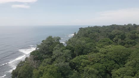 flyover dense tropical jungle on caribbean coast of southern costa rica