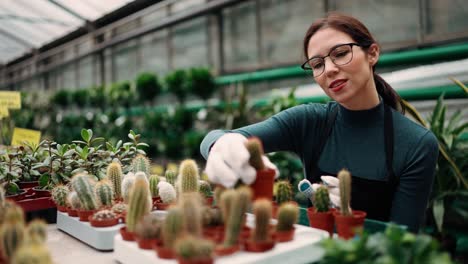 Woman-in-greenhouse-full-of-succulent-plants-collection,-refill-the-stand-with-new-ones