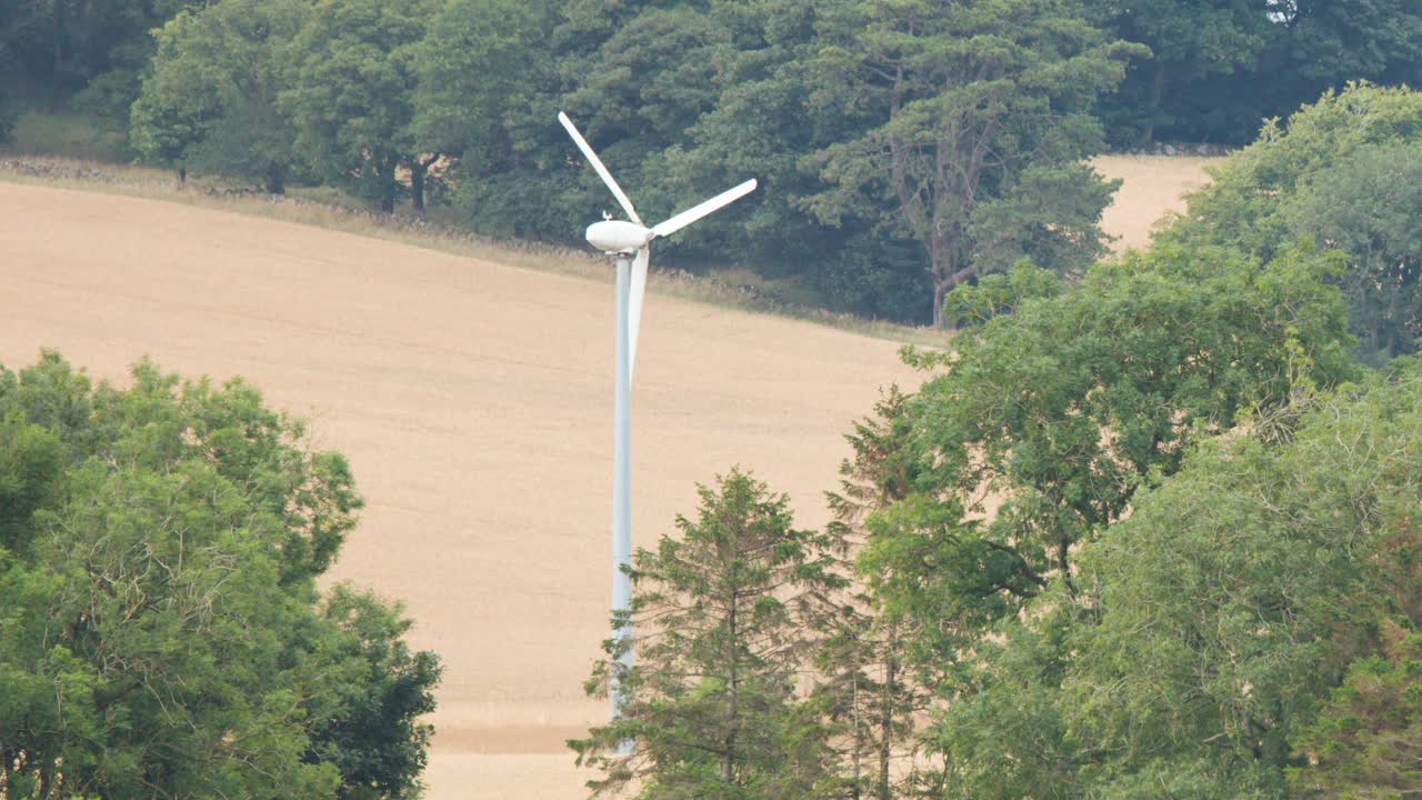 Wind turbines spin above green fields and trees, captured in soft daylight with stable framing