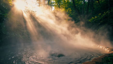 sunrise hot spring in the forest