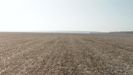 empty agricultural field
